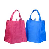 Nonwoven bag for advertising From China