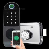 Tuya APP WiFi Smart Home Electric Deadbolt Door Rim Lock Fingerprint Door Lock From China