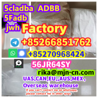 5cla-db Adbb 5fa-db Jwh018 Sgt151 2fd-ck 5f-amb 5-meo Abd-fub Eti-zolam Akb-48 4-homet Fu,b-144,