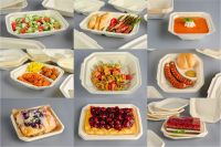 Biodegradable Food Packaging - Trays Paper Pulp