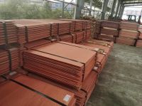 High Quality 99.9% Purity 1mm 3mm 6mm 8mm Thickness Pure Copper Sheet.