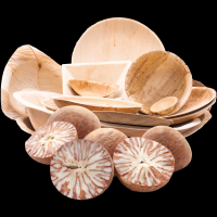 Arecanut palm leaf plates