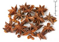 Vietnamese Dried Star Anise