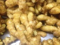 Ginger Root