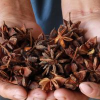 Vietnamese Dried Star Anise