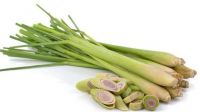 Fresh Lemongrass