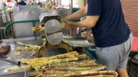 Fresh Sugarcane