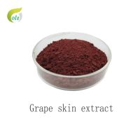 Top Quality Grape Skin Extract Anthocyanins