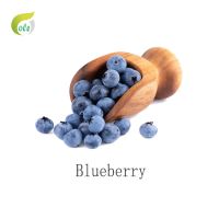 100% Natural Blueberry Powder Extract