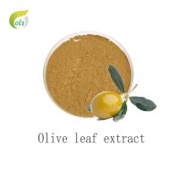 Best Olive leaf e...