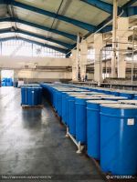 tomato paste From Romania