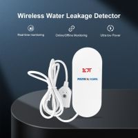 Wireless Water Le...