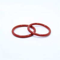 Encapsulated O-Ring