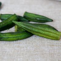 Okra is brittle and dry