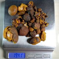 Cattle Gallstones, Cow Gallstones, Ox Gallstones,