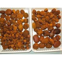 Cattle Gallstones, Cow Gallstones, Ox Gallstones,