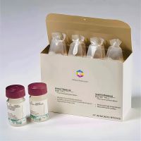 Pharmaceutical Packaging