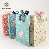 Fancy Custom Design Gift Paper Bags