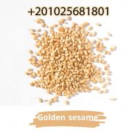 Sesame Seeds