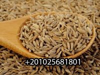 Cumin Seeds