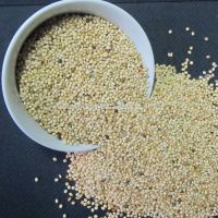 Natural And Organic Millet Seeds