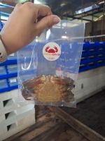 Soft Shell Crab Borneo Island