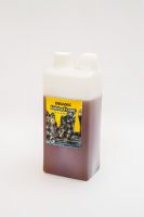 ORGANIC STINGLESS BEE HONEY FROM KALIMANTAN