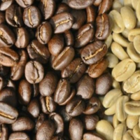 100% Natural Robusta Coffee Bean / Vietnam Green Coffee Beans / Wholesale Arabica Coffee Beans from Brazil From UK