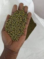 Green Mung Beans