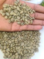 Green Coffee Beans E.g Arabica And Robusta Coffee Beans