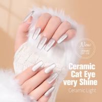 12 Colors Nail Art UV LED Magnetic Ceramic Cat Eye Gel Nail Polish From China