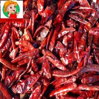 fresh chilli/chilli powder/gry chilli