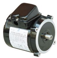 electric motor