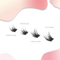 3d Bionic Individual Lashes Are Perfect For A Wispy Volume Look At Home Lash Diy