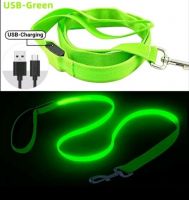 Night Safety Light UP Dog Collar USB Rechargeable Flashing Light Glowing Illuminated Pet Dog leash From China