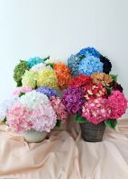 Artificial silk Hydrangea for home decor