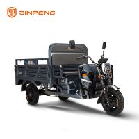 Lead-Acid Battery OEM Jinpeng Cargo Adult Loader Trike