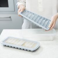 Kari creative ice tray (with storage box)