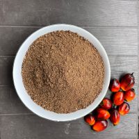 Palm Kernel Expeller