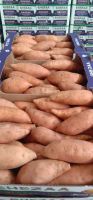 Fresh Sweet Potatoes