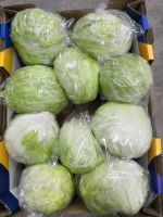 Fresh Cabbages