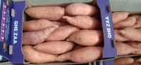 Fresh Sweet Potatoes