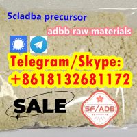 Raw Material 5cl 5cladba Precursor Raw 5cl-adb-a Adbb Best Supplier