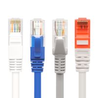Custom Male to Male Lan Rj45 Patch Cord Cable  Utp 4 Twisted Pairs Network Cord Cat5e Cat6 Cat7 Ethernet Cable From China