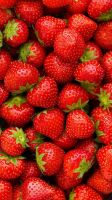 Fresh Egyptian Strawberries