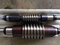 DUAL LEAD WORM Customized Processing