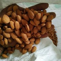 Raw Natural Almond Nuts for Sale From UK