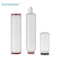 0.22/ 0.45 Micron PES Membrane Folded Liquid Filter Element for Sterile Filtration