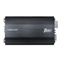 Amplifier AMP MASS 4.100