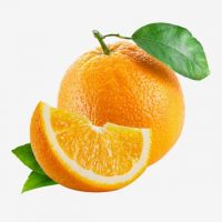 Fresh  Oranges